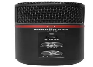 Woodbrass UM3 : un micro professionnel mais pas que… Woodbrass UM3